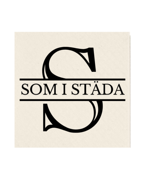 S som i städa