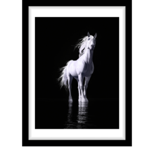 Majestic horse