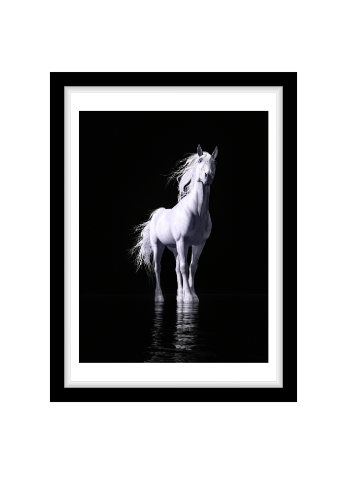 Poster (11)