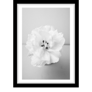White flower