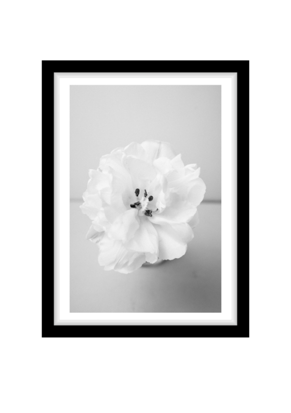 White flower
