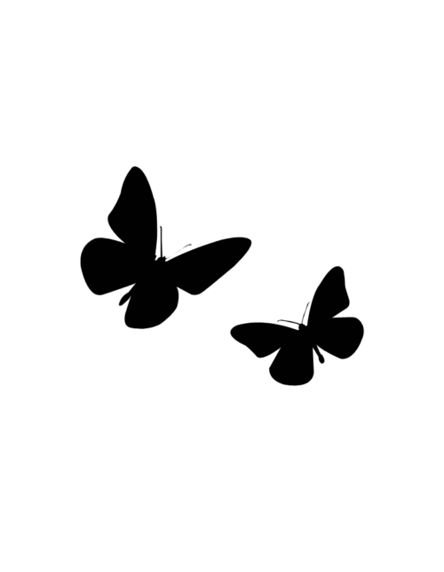 2 Butterflies