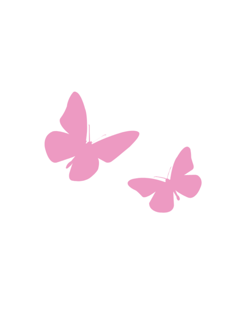 2 Butterflies