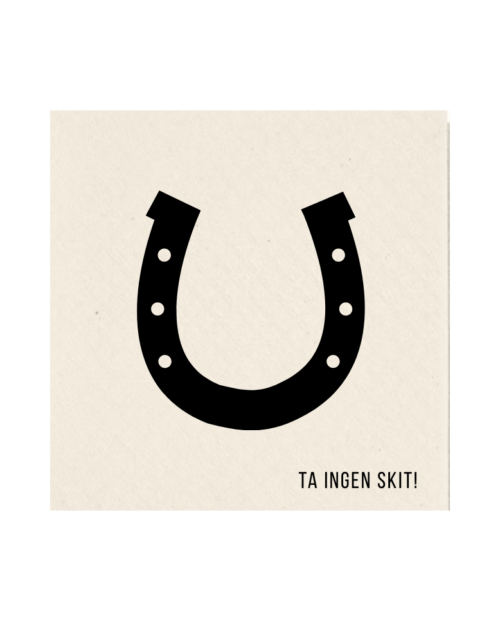 Ta Ingen Skit!