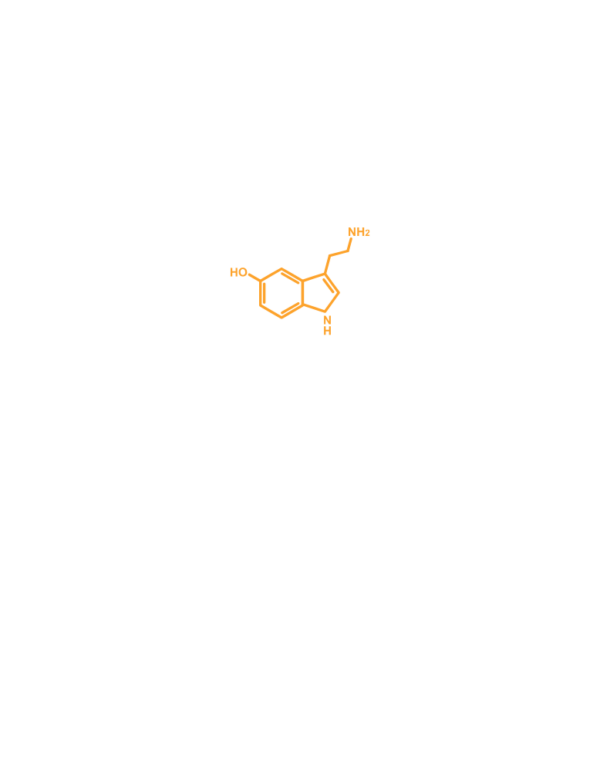 Serotonin