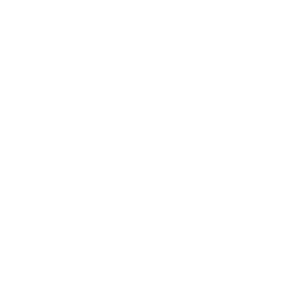 Flower Bus