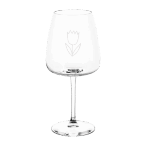 Hand Drawn Tulip
