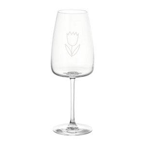 Hand Drawn Tulip