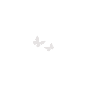 Butterfly Pair