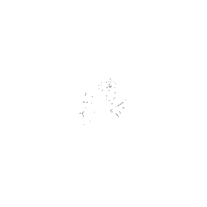 Flower Line Face