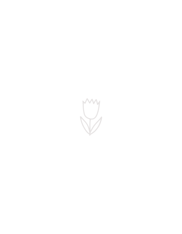 Hand Drawn Tulip