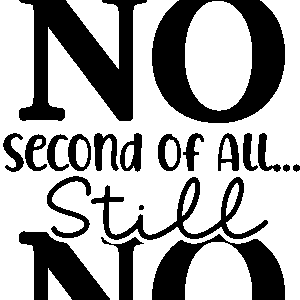 First of all NO second of all still NO