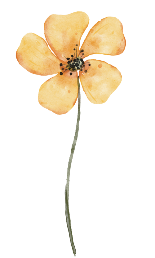 Gul blomma