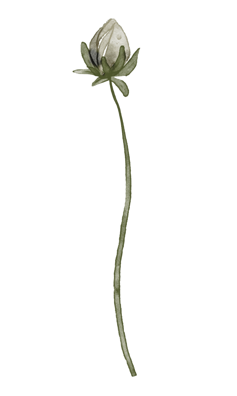 295