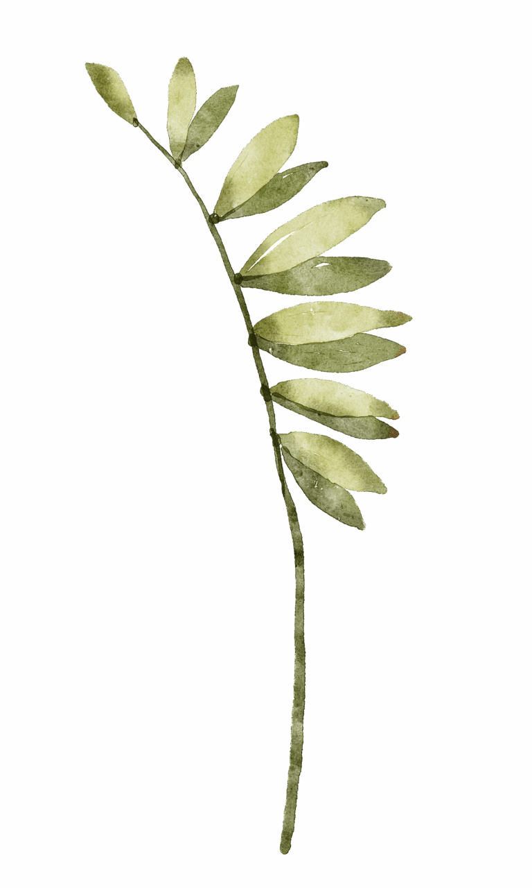 297