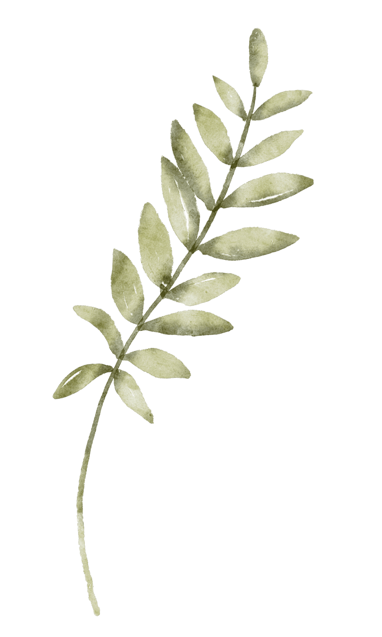 300