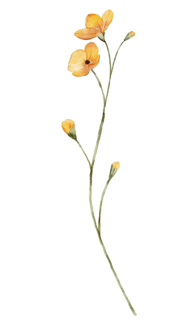 306