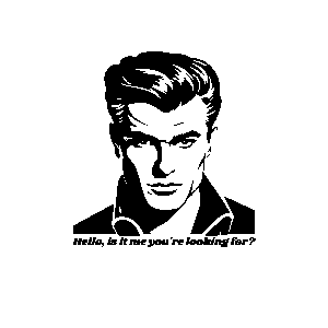 Hello, is it me your are looking for
